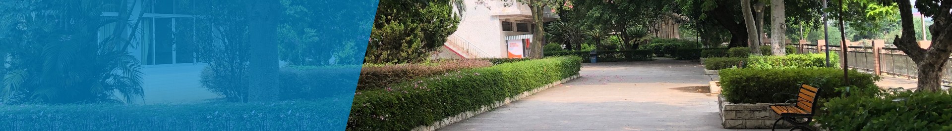 就醫(yī)指南